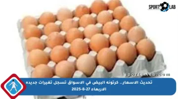 تحديث الأسعار.. كرتونة البيض في الأسواق تسجل تغيرات جديدة الأربعاء 27-8-2025